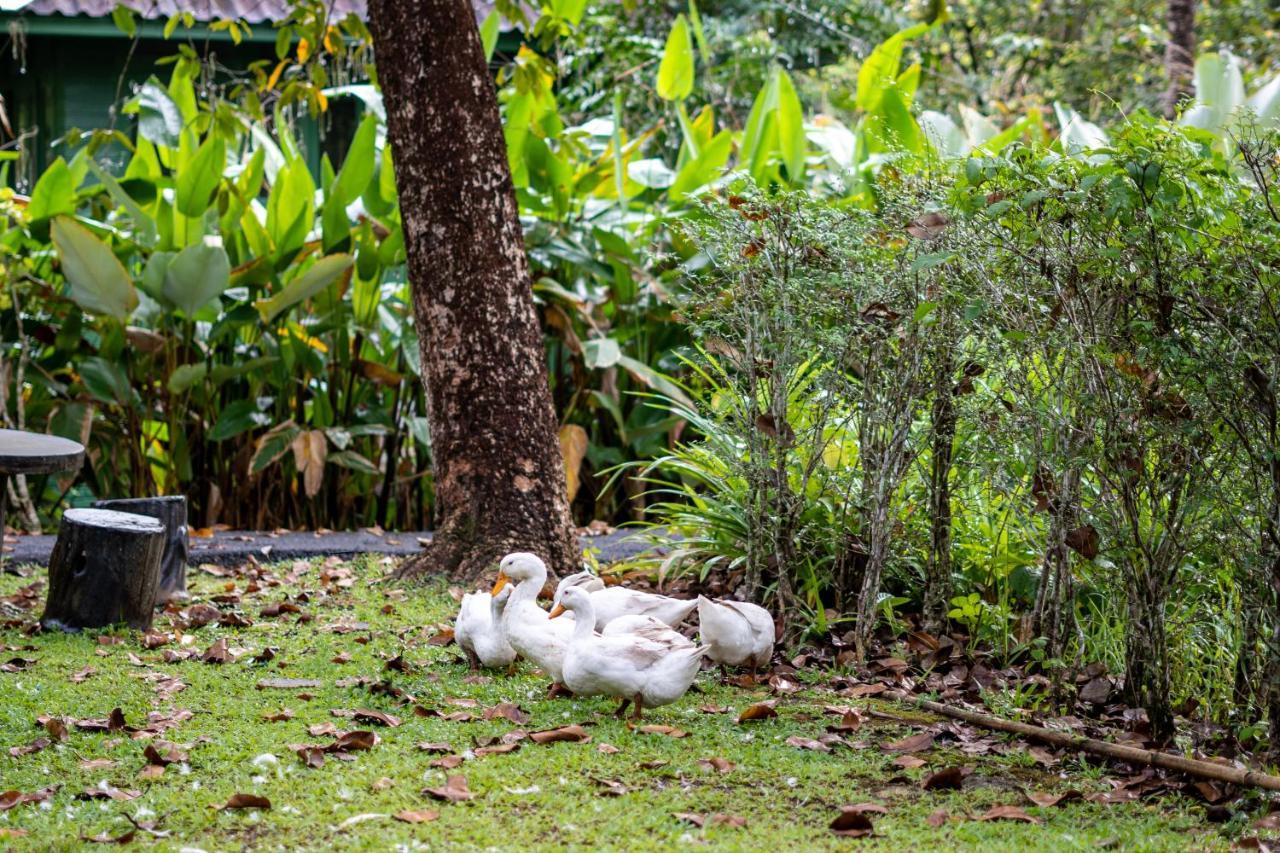 Blu Monkey Pooltara Krabi Hotel & Villas Pet Friendly Exterior foto
