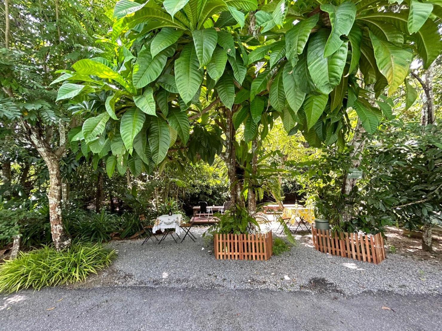 Blu Monkey Pooltara Krabi Hotel & Villas Pet Friendly Exterior foto