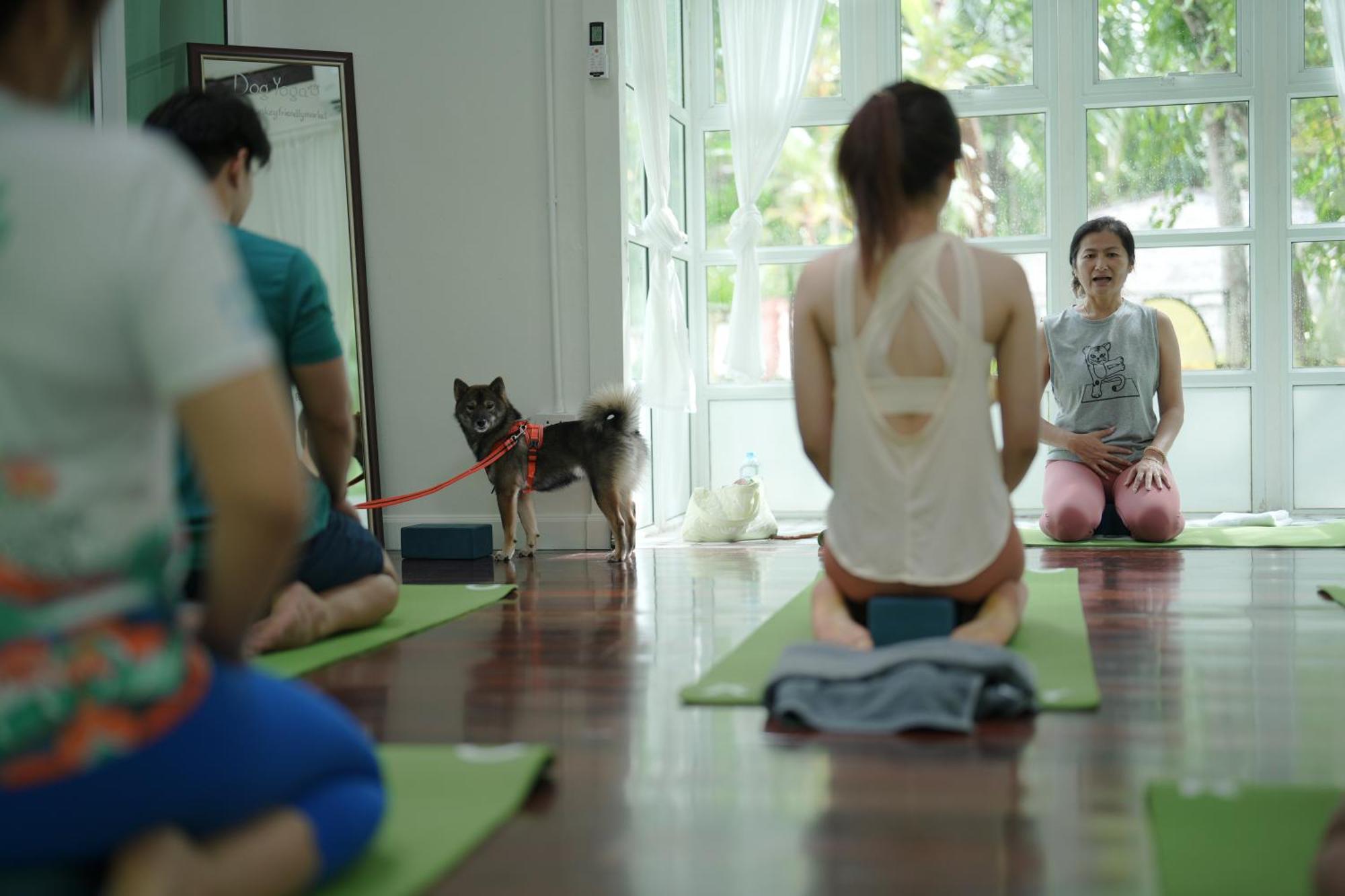 Blu Monkey Pooltara Krabi Hotel & Villas Pet Friendly Exterior foto